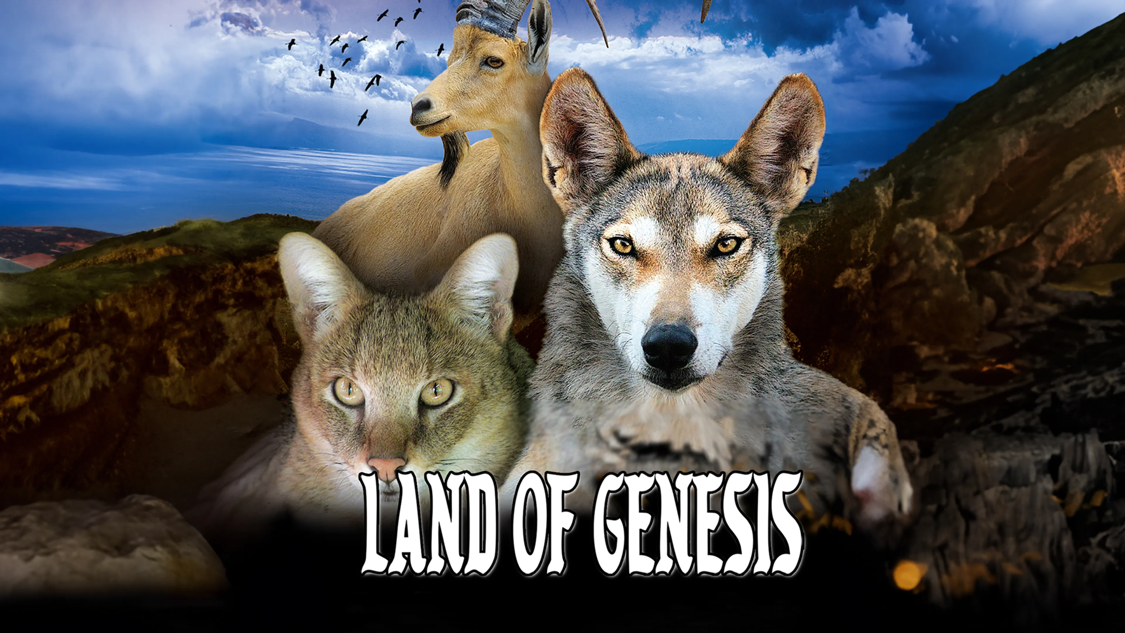 Land of Genesis poster